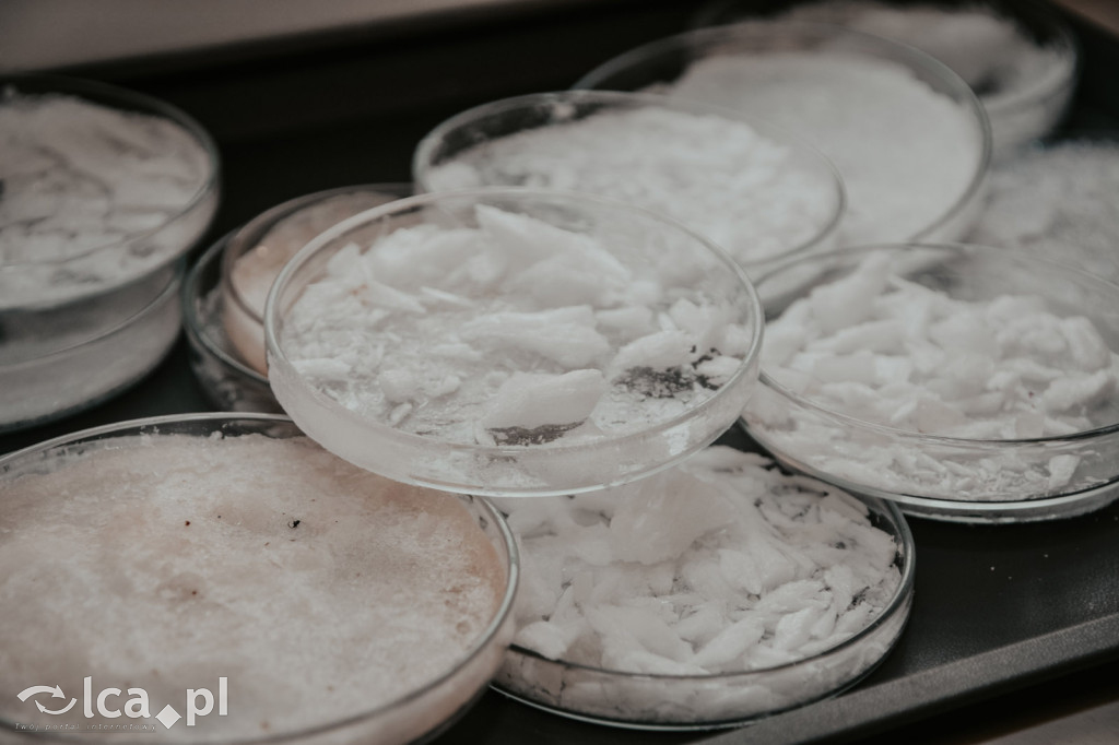 Mikołajki w Centrum Witelona