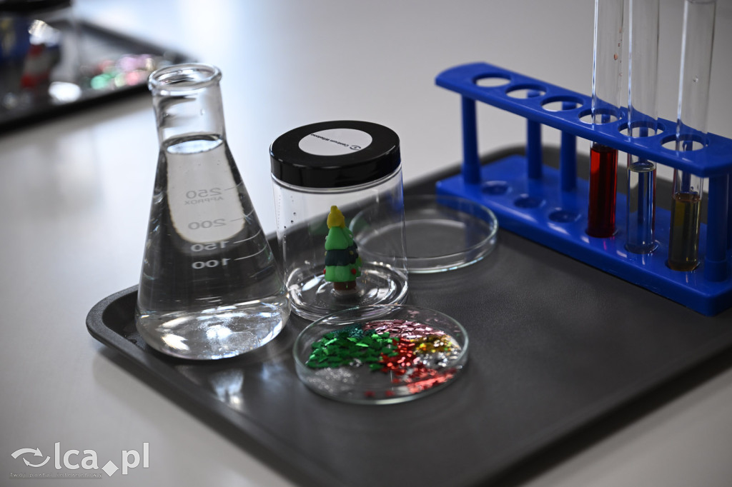 Mikołajki w Centrum Witelona