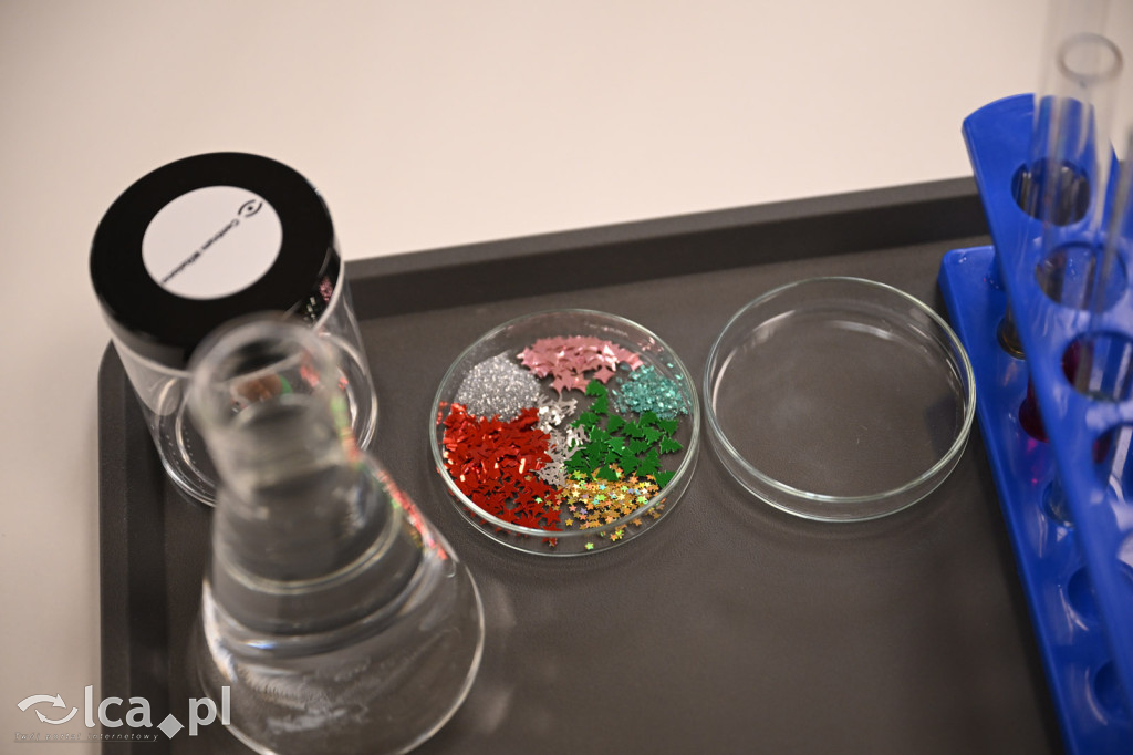 Mikołajki w Centrum Witelona