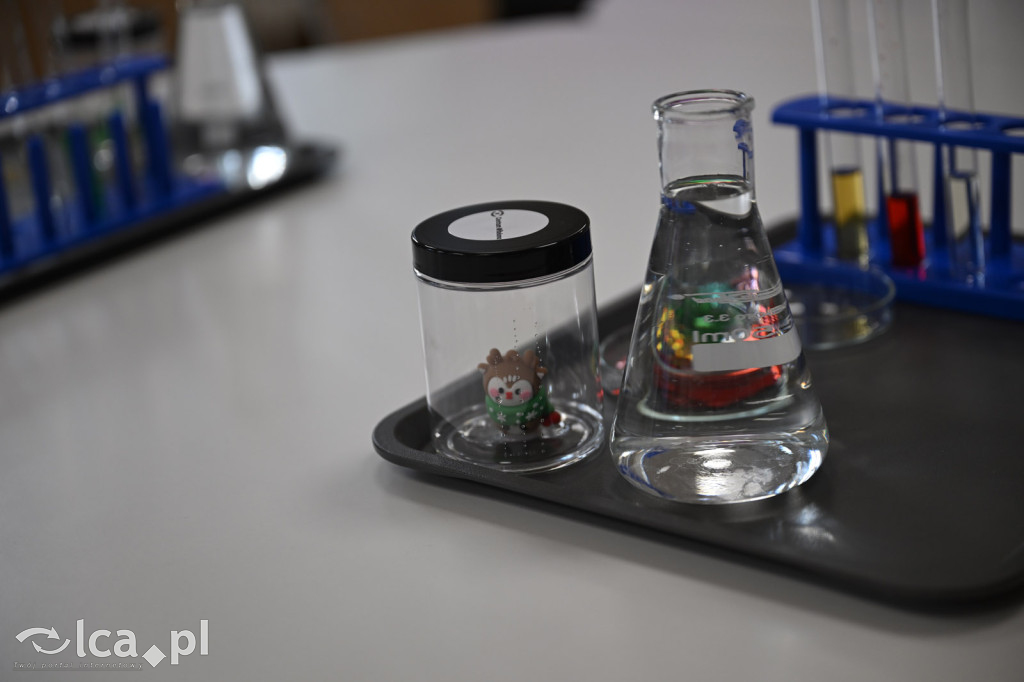 Mikołajki w Centrum Witelona