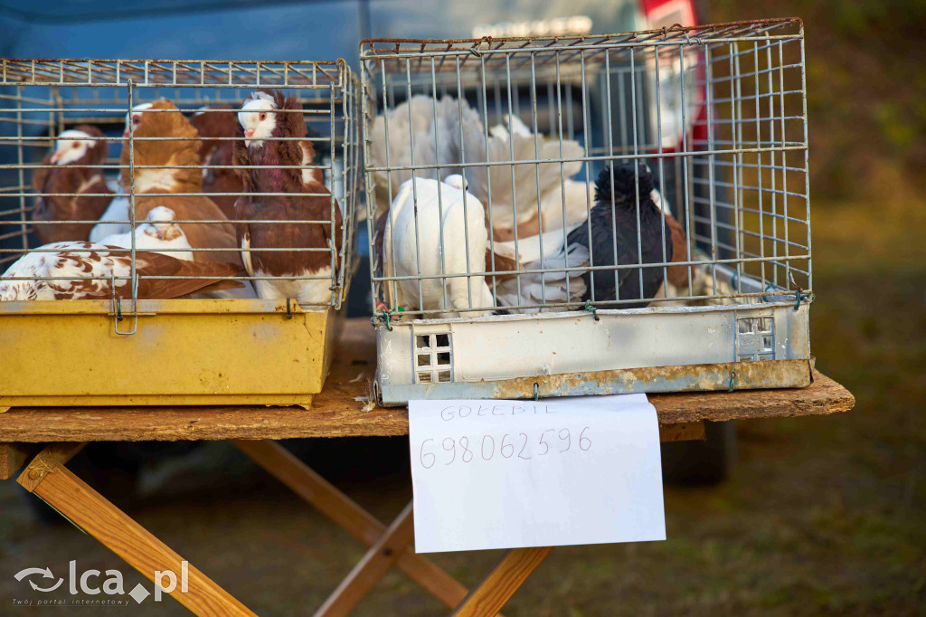 Targowisko w Bartoszowie w nowym miejscu