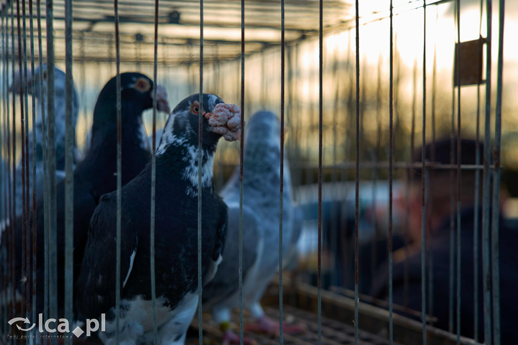 Targowisko w Bartoszowie w nowym miejscu