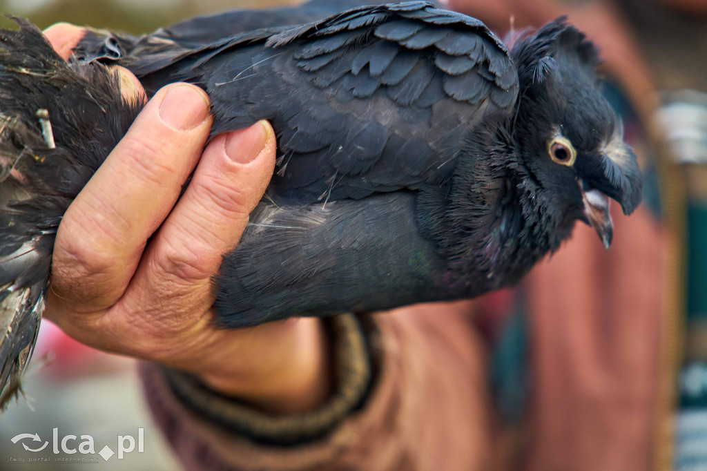 Targowisko w Bartoszowie w nowym miejscu