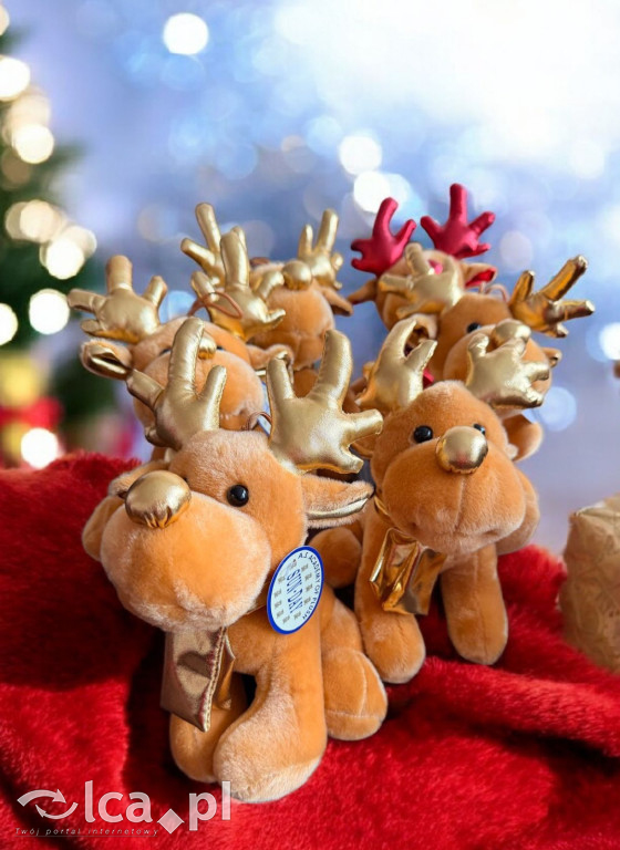 Świąteczny teatr i paczki dla dzieci w szpitalu