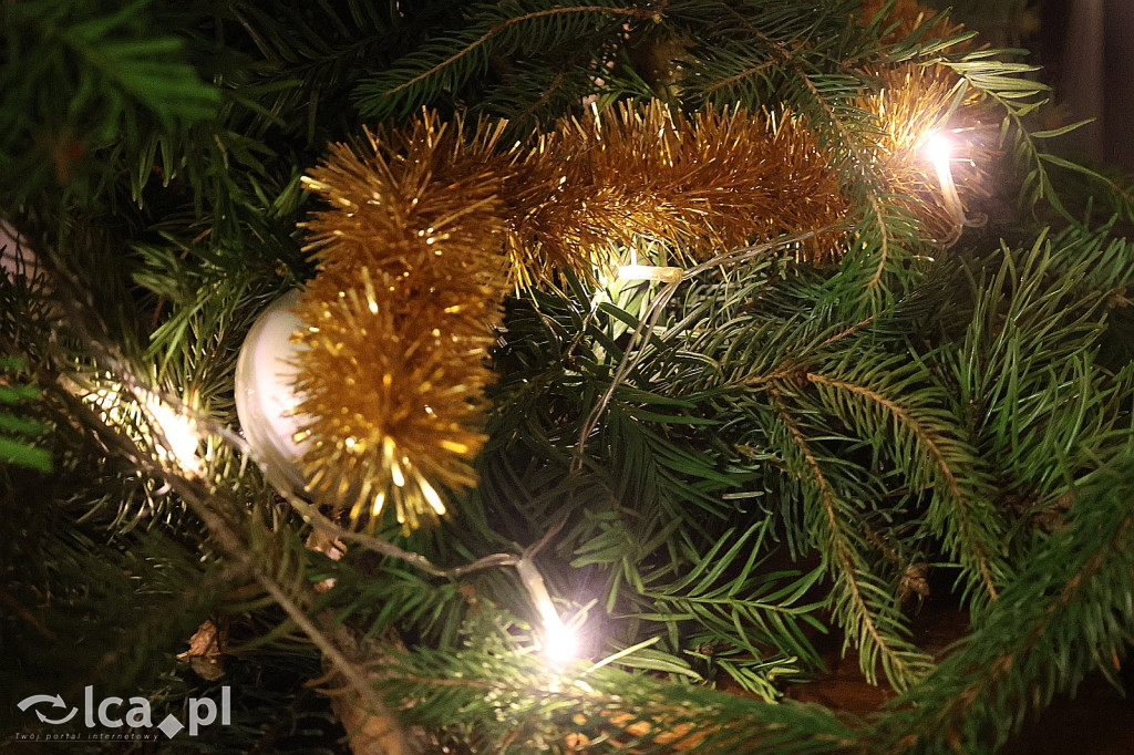 „Wśród nocnej ciszy…” – nagrodzono artystów