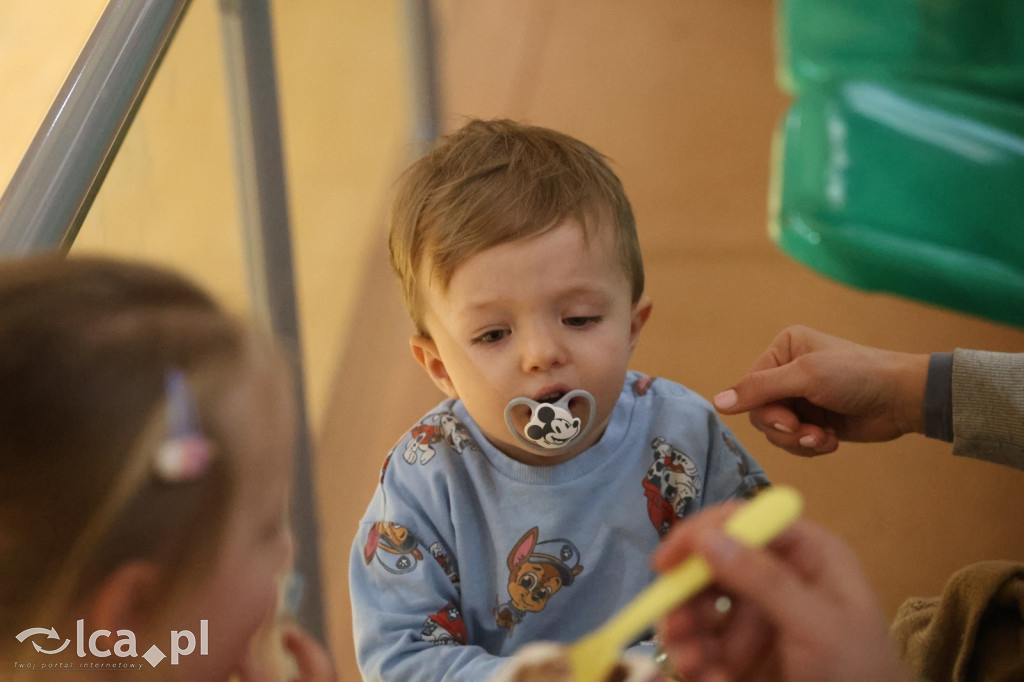 KS Basket Legnica rozbił Orła Ziębice