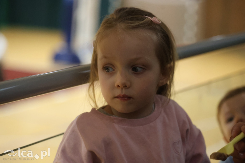 KS Basket Legnica rozbił Orła Ziębice