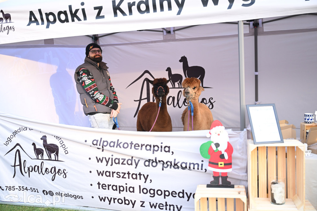 Kaczawski Jarmark Bożonarodzeniowy w pałacu