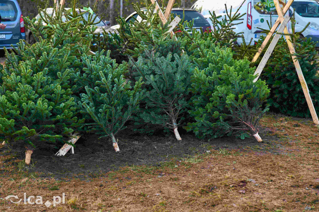 Tłumy na nowym targowisku w Bartoszowie
