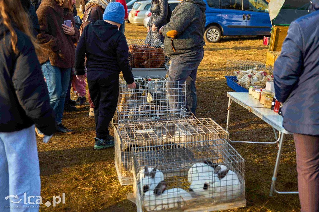 Tłumy na nowym targowisku w Bartoszowie
