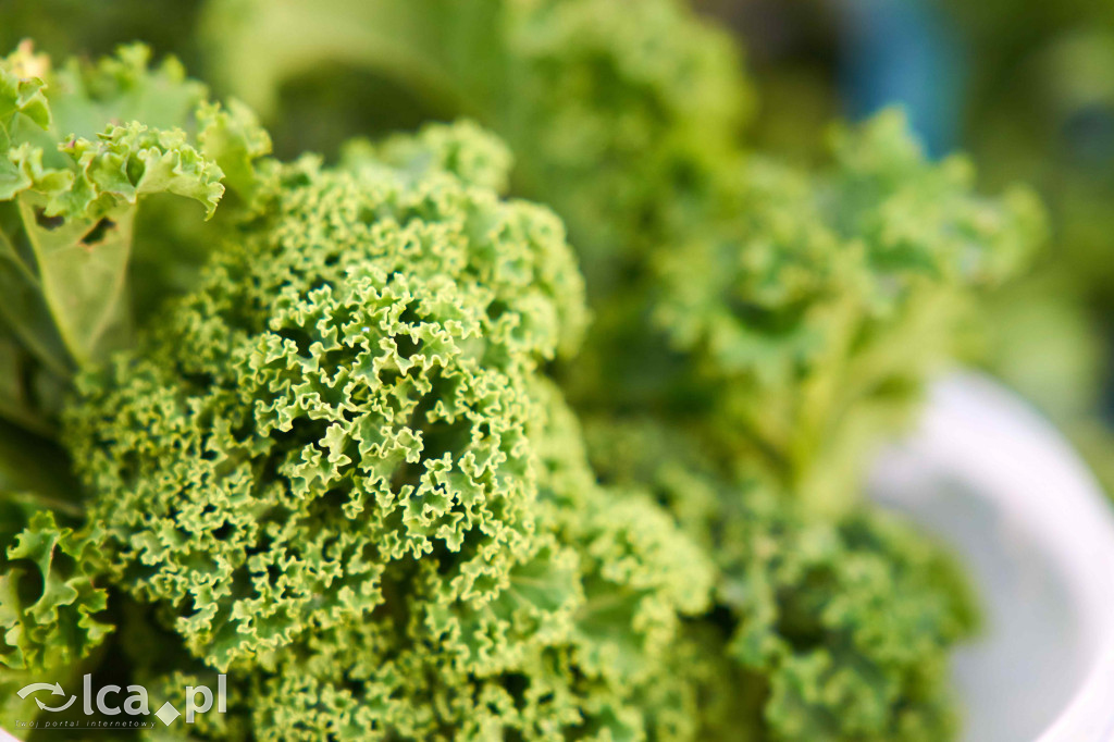 Tłumy na nowym targowisku w Bartoszowie