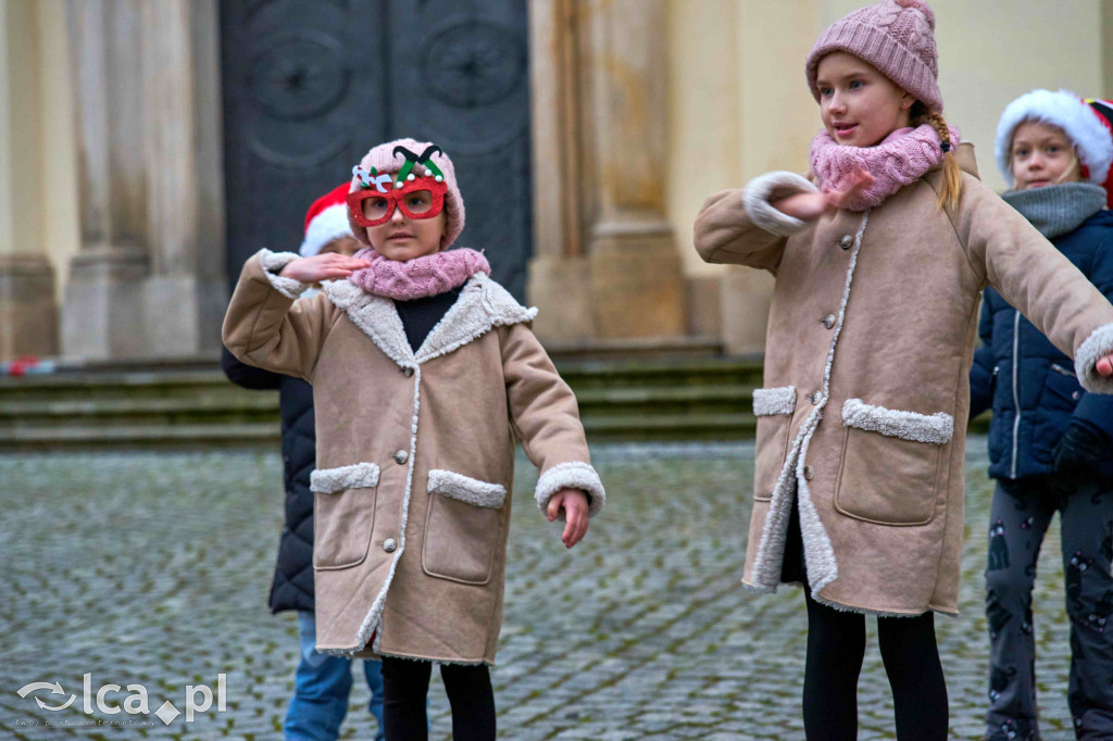 Świąteczne spotkanie w Legnickim Polu