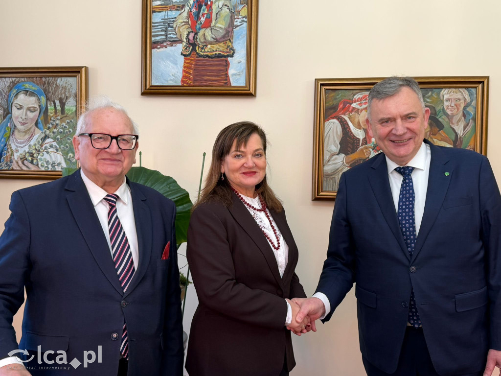 Wizyta wiceministra obrony w Prochowicach