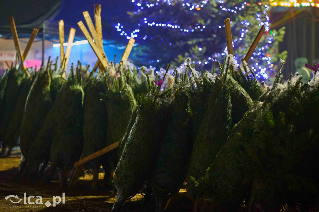 Pierwszy nocny jarmark w Bartoszowie
