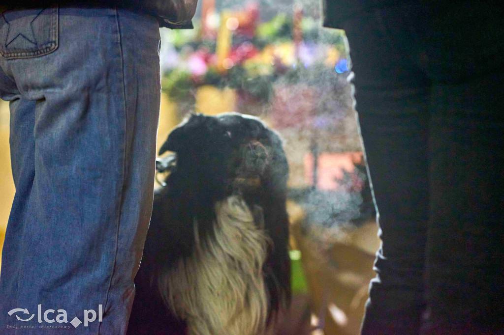 Pierwszy nocny jarmark w Bartoszowie