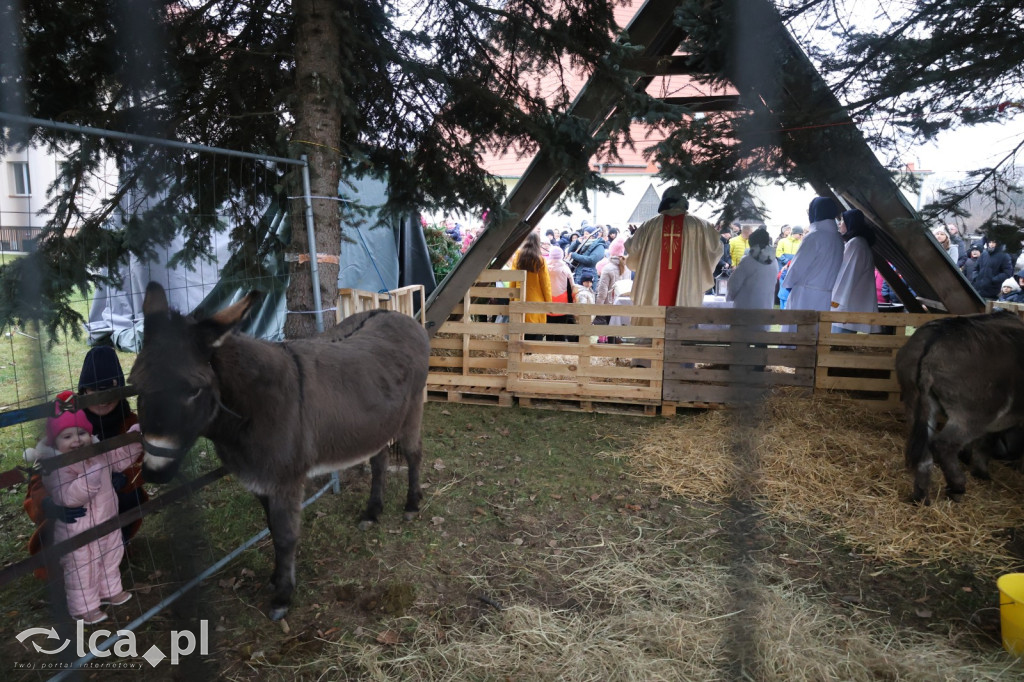 Pasterka w szopce zachwyciła najmłodszych