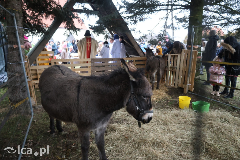 Pasterka w szopce zachwyciła najmłodszych