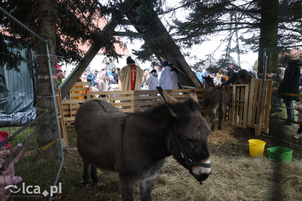 Pasterka w szopce zachwyciła najmłodszych