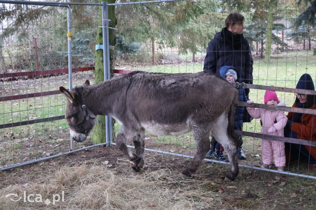Pasterka w szopce zachwyciła najmłodszych