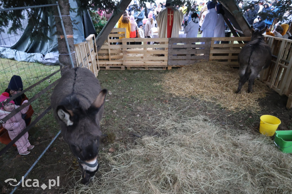 Pasterka w szopce zachwyciła najmłodszych
