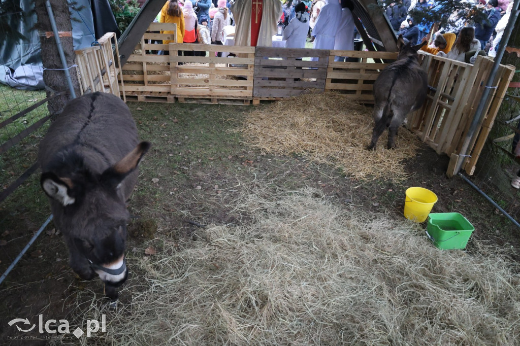 Pasterka w szopce zachwyciła najmłodszych