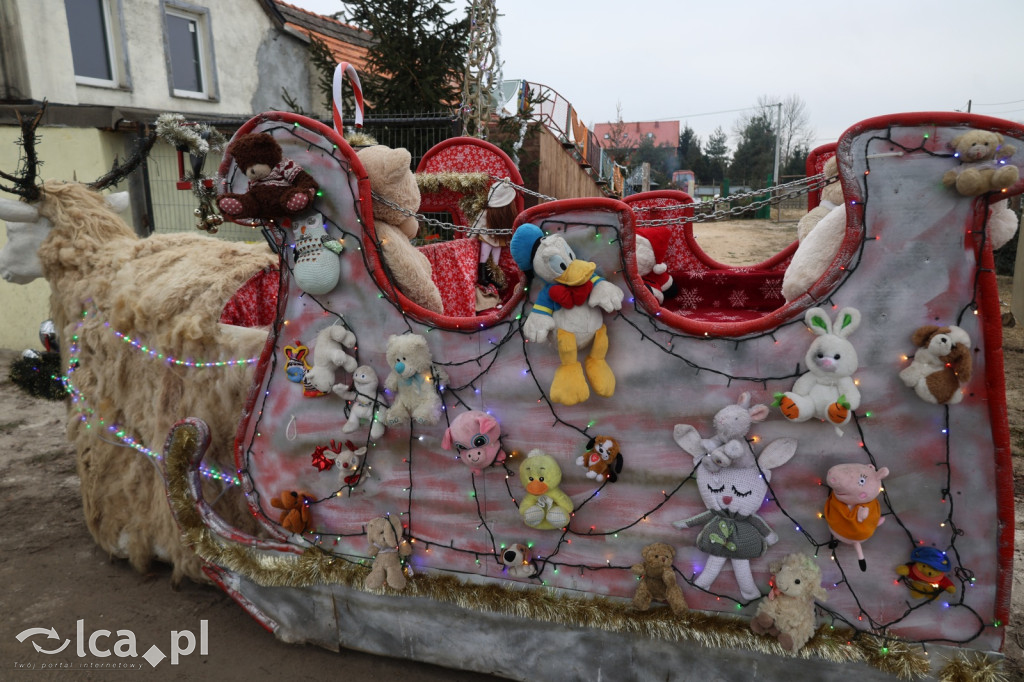 Żywa szopka w Grzymalinie z wielbłądami