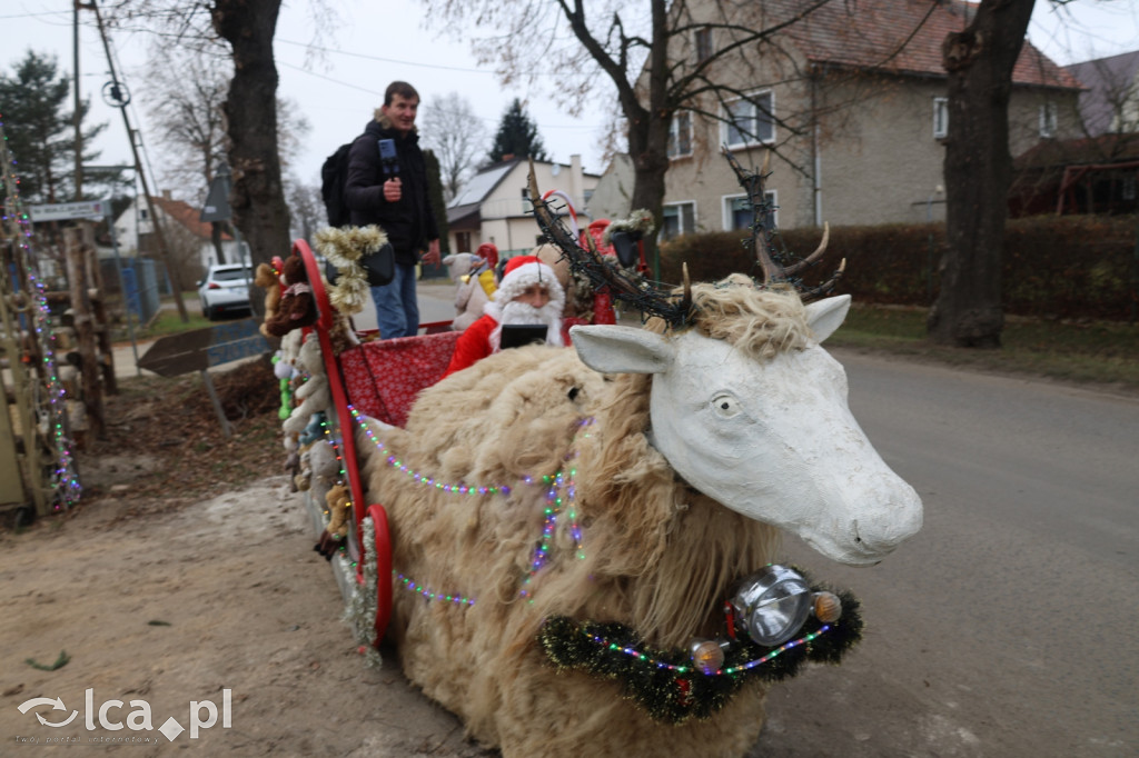 Żywa szopka w Grzymalinie z wielbłądami