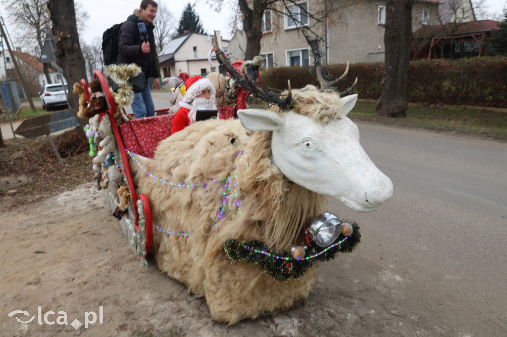 Żywa szopka w Grzymalinie z wielbłądami