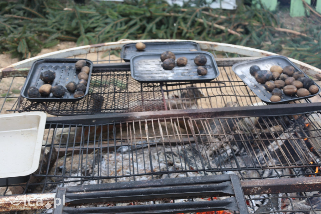 Żywa szopka w Grzymalinie z wielbłądami