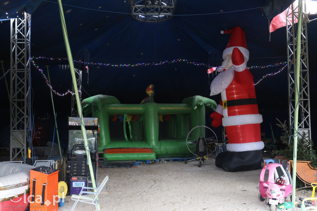 Żywa szopka w Grzymalinie z wielbłądami