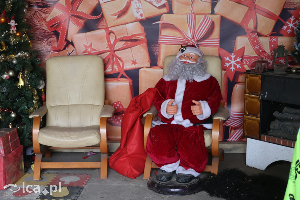 Żywa szopka w Grzymalinie z wielbłądami