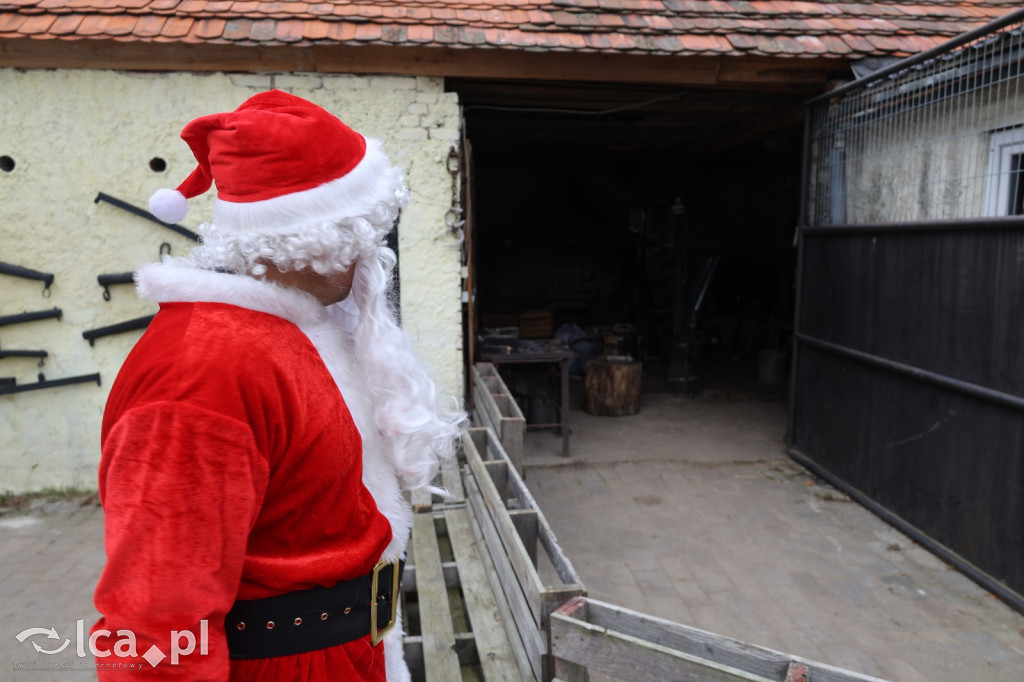 Żywa szopka w Grzymalinie z wielbłądami