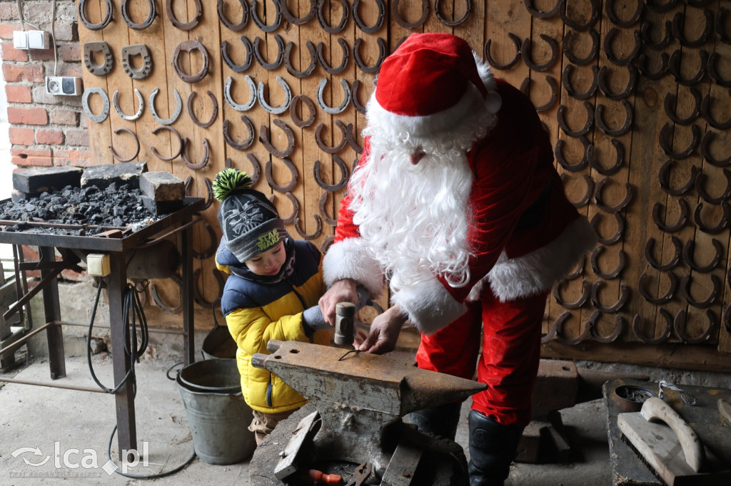 Żywa szopka w Grzymalinie z wielbłądami
