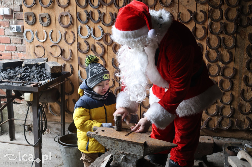 Żywa szopka w Grzymalinie z wielbłądami