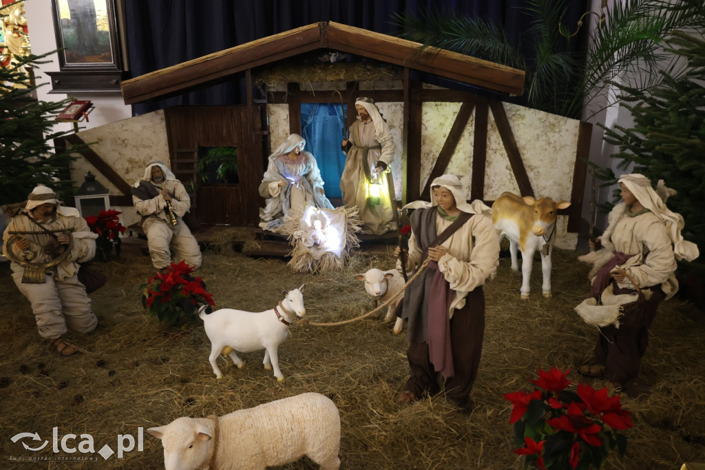 Szopki bożonarodzeniowe zdobią Legnickie kościoły