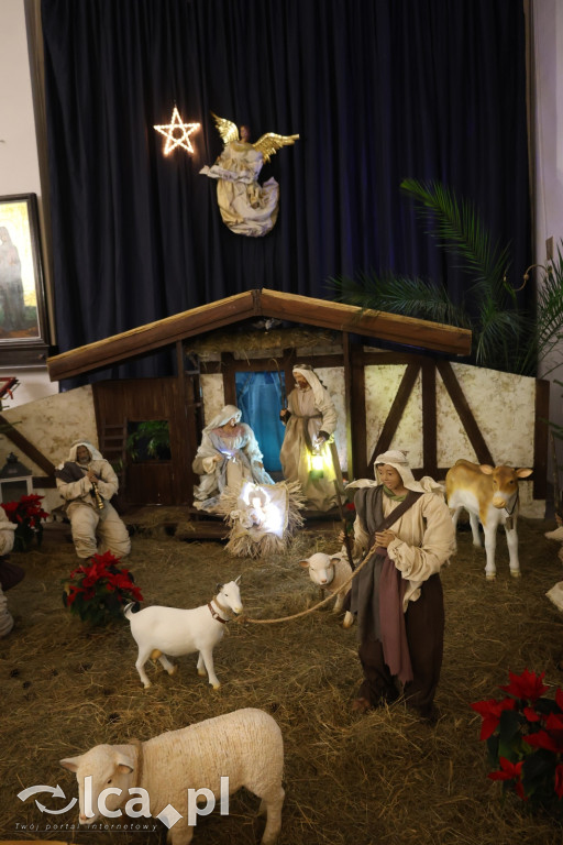 Szopki bożonarodzeniowe zdobią Legnickie kościoły