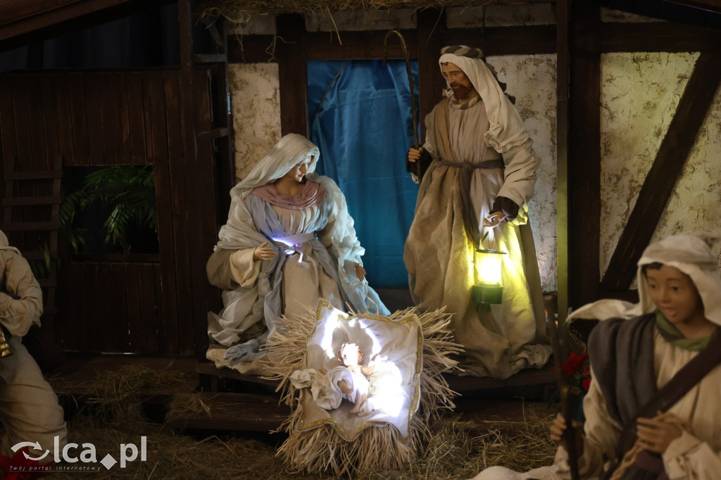 Szopki bożonarodzeniowe zdobią Legnickie kościoły