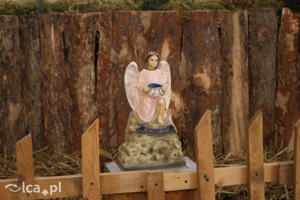 Szopki bożonarodzeniowe zdobią Legnickie kościoły