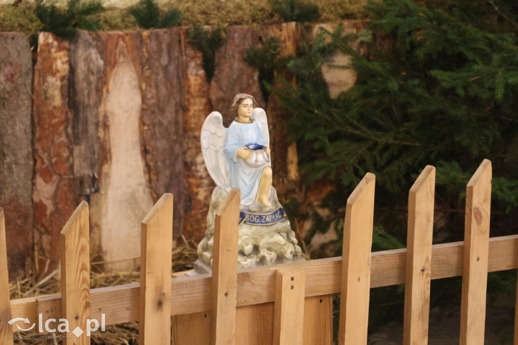 Szopki bożonarodzeniowe zdobią Legnickie kościoły
