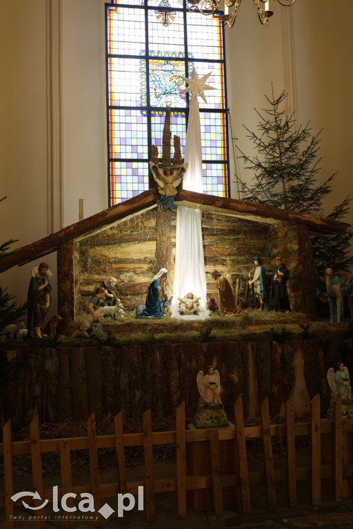 Szopki bożonarodzeniowe zdobią Legnickie kościoły