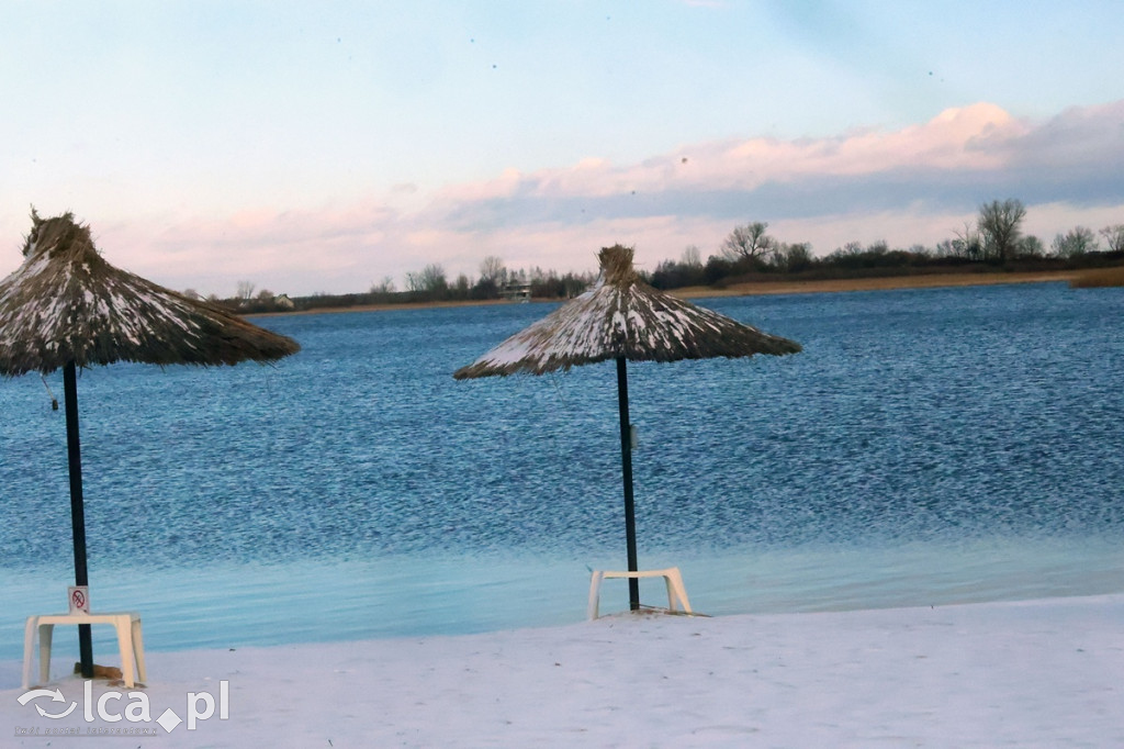 Ponad 40 legnickich morsów w lodowatej kąpieli