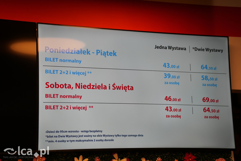 Wystawa Budowli z Klocków LEGO® w Sky Tower