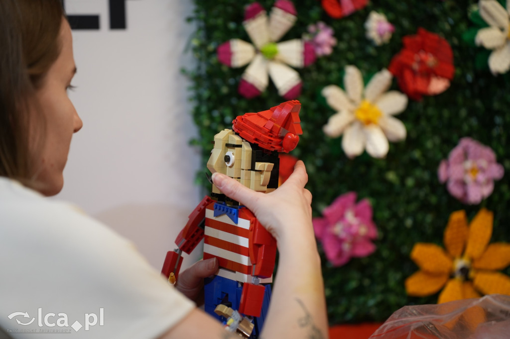 Wystawa Budowli z Klocków LEGO® w Sky Tower