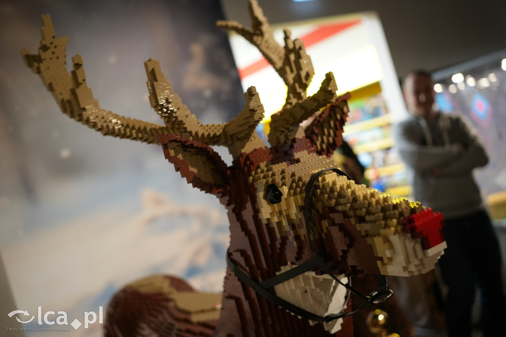 Wystawa Budowli z Klocków LEGO® w Sky Tower