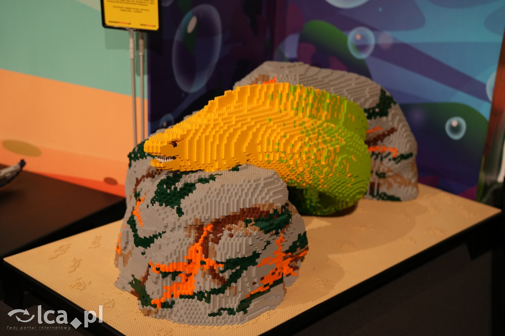 Wystawa Budowli z Klocków LEGO® w Sky Tower