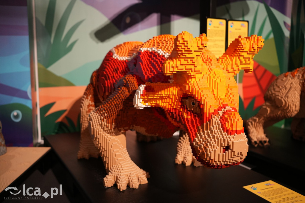 Wystawa Budowli z Klocków LEGO® w Sky Tower