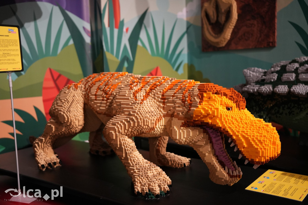 Wystawa Budowli z Klocków LEGO® w Sky Tower