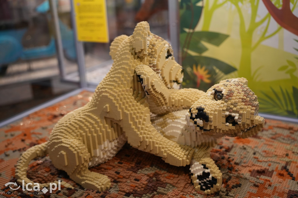 Wystawa Budowli z Klocków LEGO® w Sky Tower