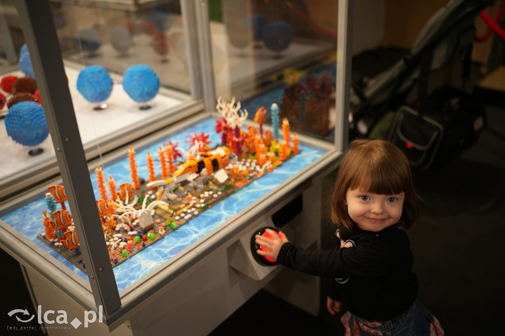 Wystawa Budowli z Klocków LEGO® w Sky Tower