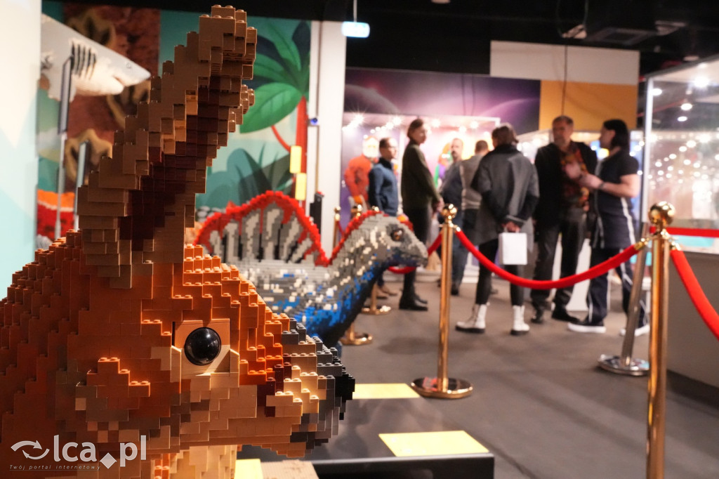 Wystawa Budowli z Klocków LEGO® w Sky Tower